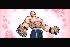 Fullmetal Alchemist: Stray Rondo