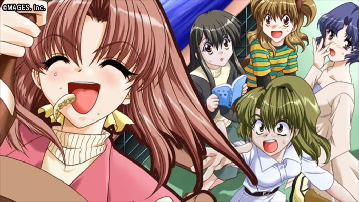 Never 7 análise - Arte do jogo contendo todas suas personagens femininas.