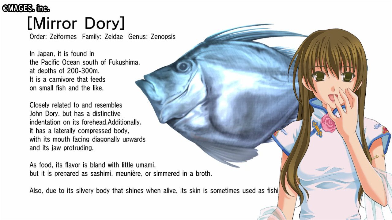 Ever 17 análise - Sora em frente a uma imagem com um sumário sobre uma espécie de peixe chamada "mirror dory"